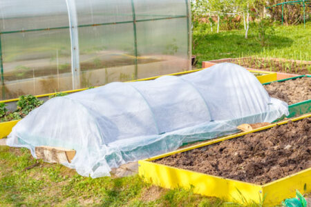 5 Ways to Get Growing Earlier (Video) Image